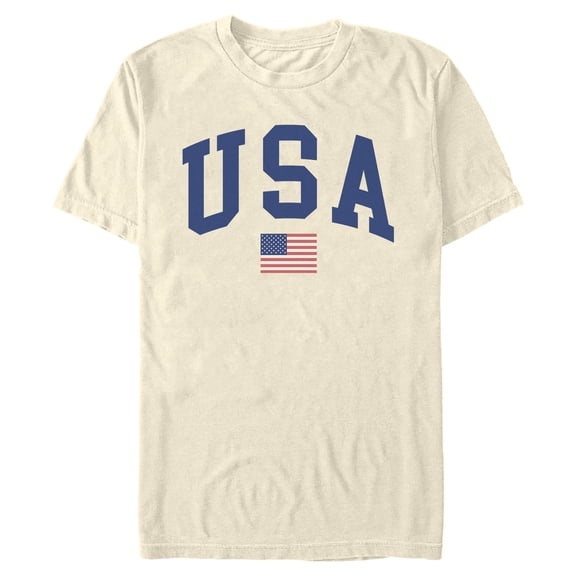 Mens Lost Gods Collegiate USA Flag T Shirt