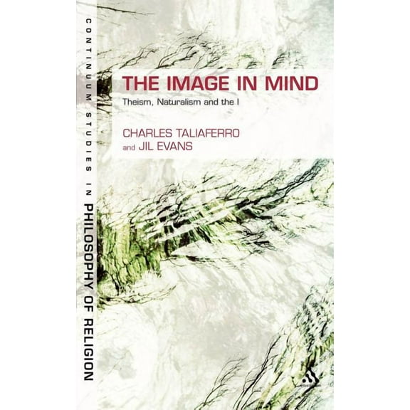 Continuum Studies in Philosophy of Relig The Image in Mind: Theism, Naturalism, and the Imagination, Book 6, (Hardcover)