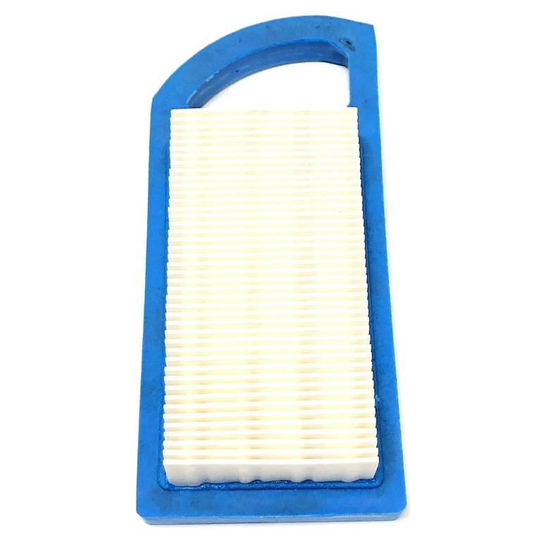 Filtro Aria Briggs & Stratton 698413 794421 | F.lli Manzoni - Foto 14