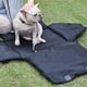 thumbnail image 5 of Bolsa de transporte de cinturón de seguridad Gloria para perros, 5 of 9