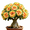C, variant on Desert Rose, Shade Plant for Gardens-Easy Grow-Low Maintenance-Ideal for Beds Borders, Plant Pots & Planters