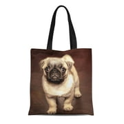 ASHLEIGH Canvas Tote Bag Cute Lovely Puppy Pug Dog Pet Young Lover Reusable Handbag Shoulder Grocery Shopping Bags