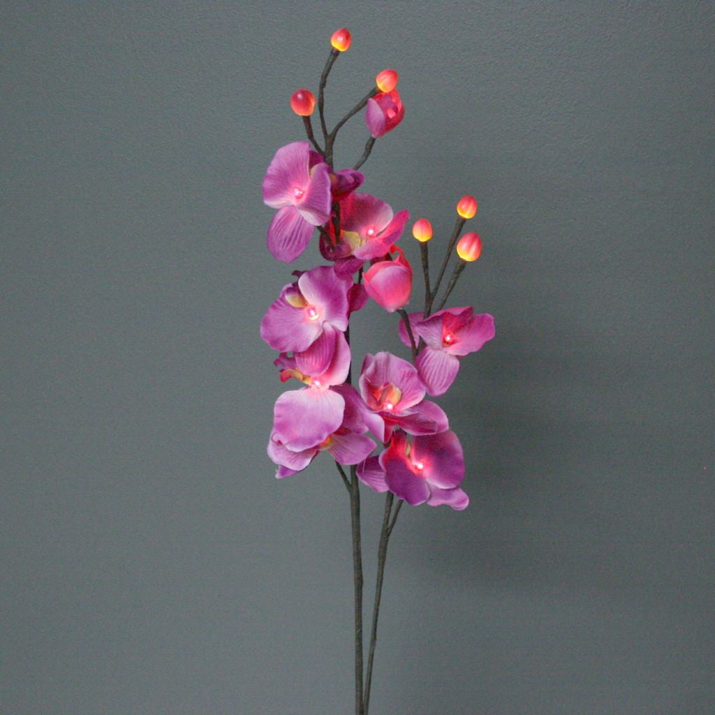 Light Garden 00021 - PKORQ16 Electric Lighted Blossoms and ...
