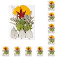 thumbnail image 3 of Toystoory Hojas secas naturales DIY Plantas artesanales en relieve Hojas prensadas Decoraciones verdes secas Regalos para tarjetas de boda Type1 NO1, 3 of 6