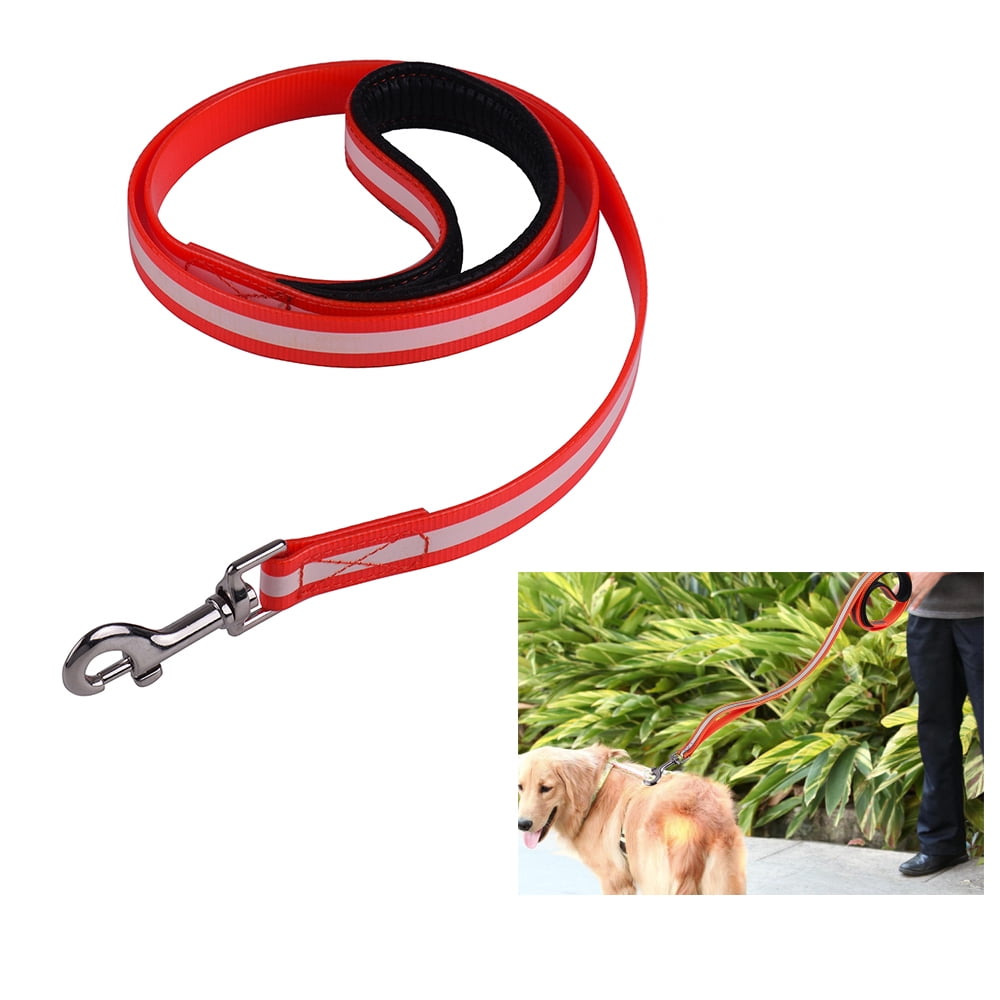 safety dog leash