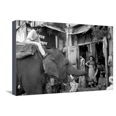 An Elephant Collects Tips from the Prostitutes on Falkland Road for Good Luck, Mumbai, 1980 Stretched Canvas Print Wall