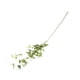 thumbnail image 1 of Silk Artificial Green Lotus Leaves Simulation Follaje Bouquet Photo Props, 1 of 9