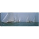 thumbnail image 1 of Cuadro Decorativo - Regata de Rhode Island, 1 of 3