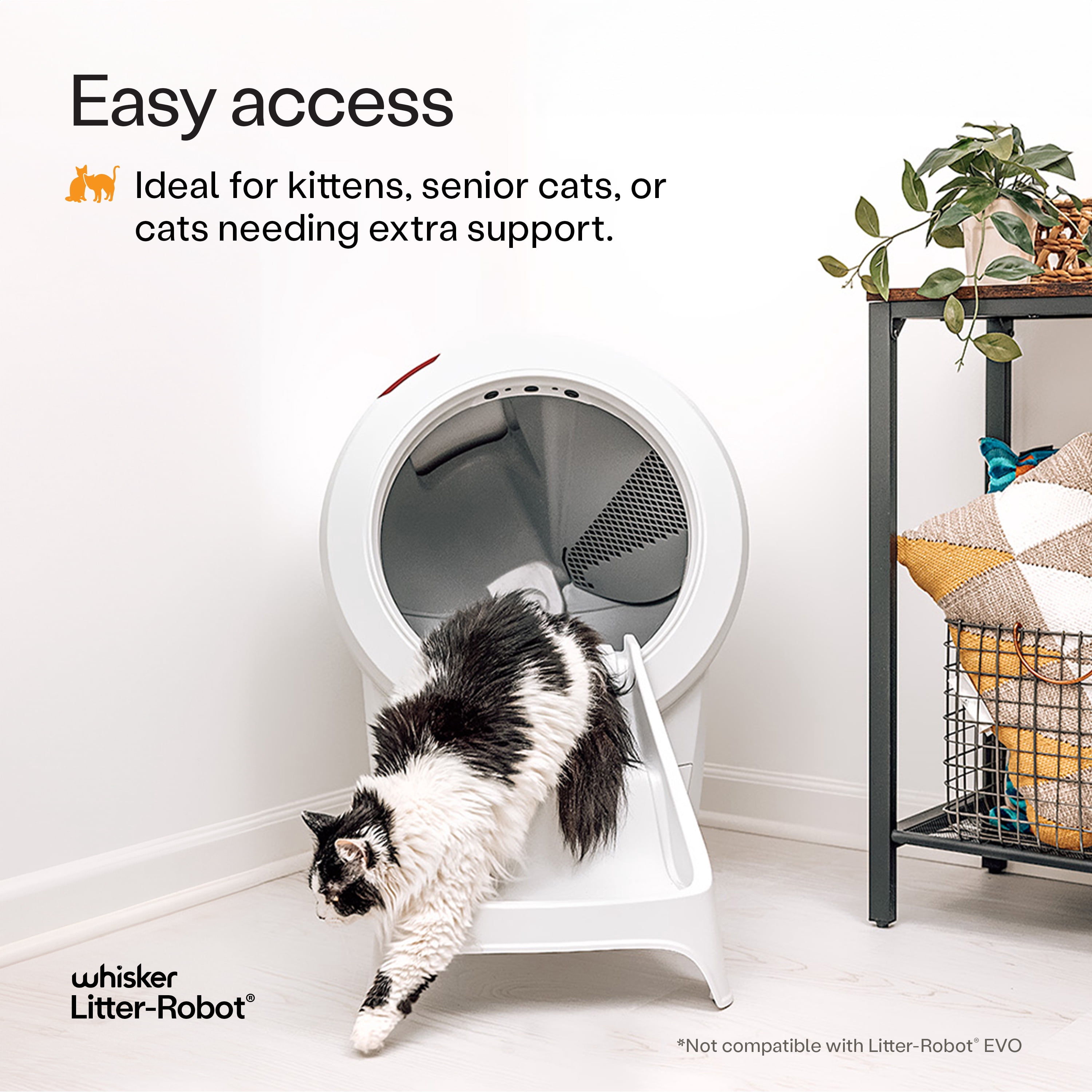 Litter-Robot 4 Ramp by Whisker, White - Cat Ramp for Litter Box, Custom Fit for Litter-Robot 4, Non-Slip Rubber Feet, Suitable for Small & Older Cats, Made in the USA