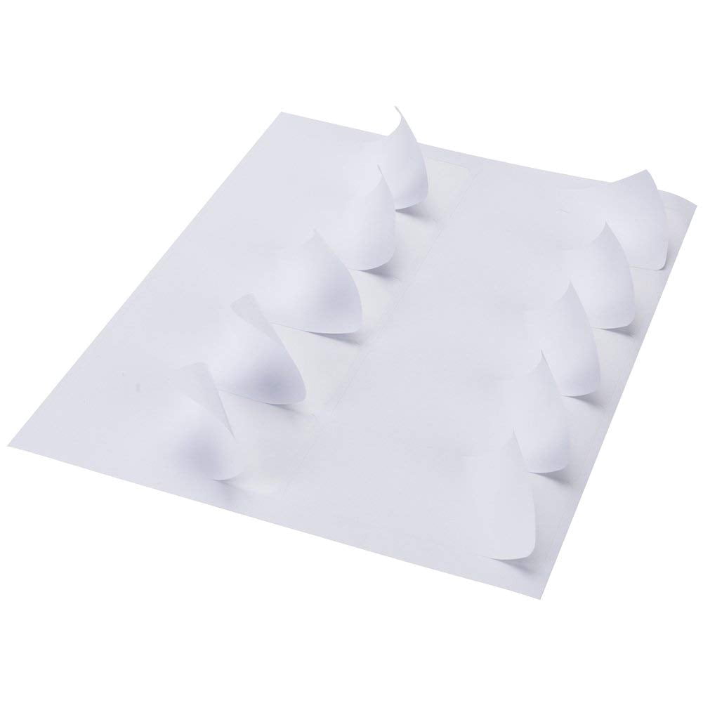 10000 Address Shipping Labels Laser Ink Jet 10 Per Sheet 4"x2" 10UP 1000 Sheets