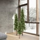 thumbnail image 4 of Set de Árbol de Navidad Vickerman Natural Alpine 1.2 m 1.5 m 1.8 m, 4 of 4