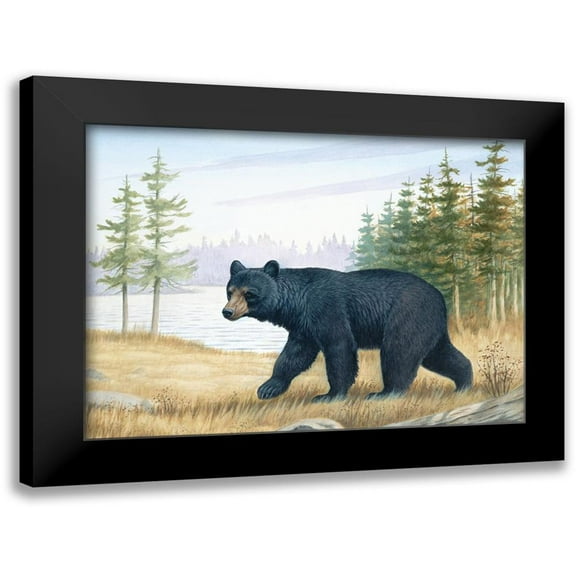 Unknown 14x11 Black Modern Framed Museum Art Print Titled - Black Bear