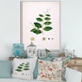 thumbnail image 2 of Designart 'Ancient Plant Life XVI' Farmhouse Framed Canvas Wall Art Print, 2 of 5