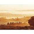 thumbnail image 3 of Ball, Susan 14x12 Black Modern Framed Museum Art Print Titled - Sunset Over Forest, 3 of 5