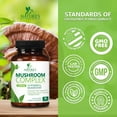 thumbnail image 5 of Mushroom Brain Supplement 10 in 1 Blend - High Strength Mushroom Complex with Lions Mane, Turkey Tail, Reishi, Cordyceps, Chaga & Brain Nootropic Complex for Memory & Focus Support - 60 Capsules, 5 of 10