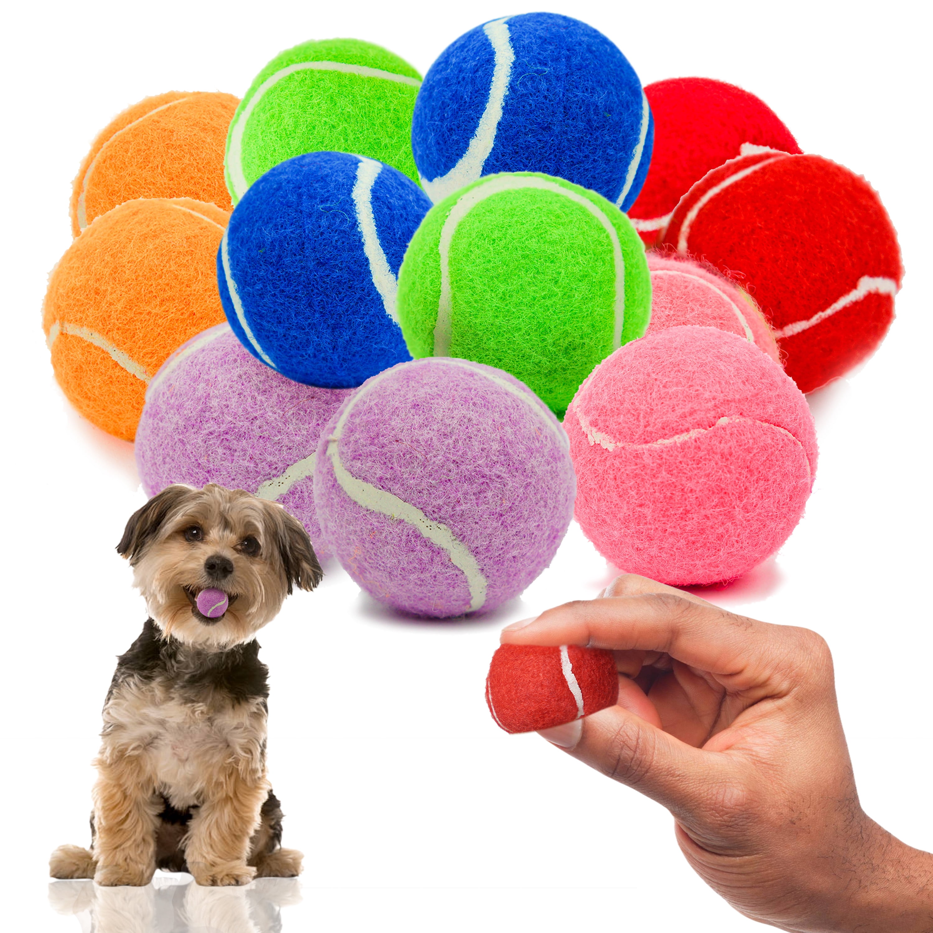 Petite Paws Squeaky Mini Tennis Balls for Small Dogs — 1.5 Inch, 12-Pack — Colorful Fetch & Training Toy