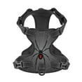 thumbnail image 4 of Lsque Black Spider On Web Dog Harness, No-Pull Pet Harness with 2 Leash Clips, Adjustable Soft Padded Dog Vest with Easy Control Handle for Large Dogs-Medium, 4 of 9