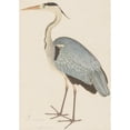 thumbnail image 2 of Ram Das 11x14 Black Ornate Wood Framed Double Matted Museum Art Print Titled: Grey Heron (C. 1780-1782), 2 of 5