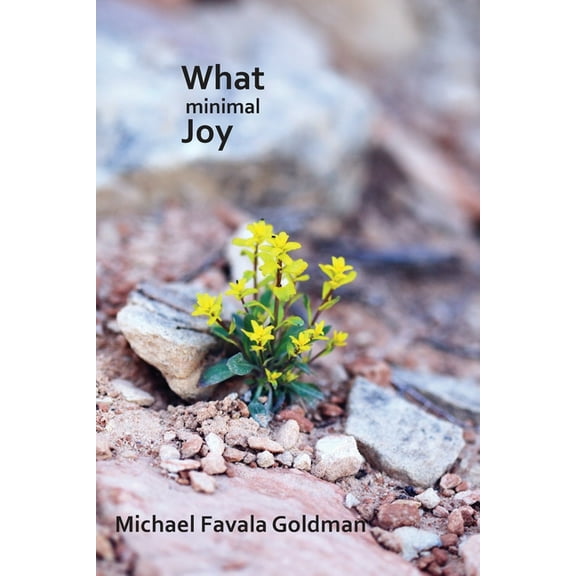 What Minimal Joy, (Paperback)