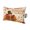 Yellow, Red, variant on Turkey Thanksgiving Outdoor Pillows for Chaise Lounge Chair Waterproof Lumbar Pillows with Insert&Adjustable Strap Beach Headrest Pillow Fall Rustic Pumpkins Branches Leaves Pool Pillow 11"x16"
