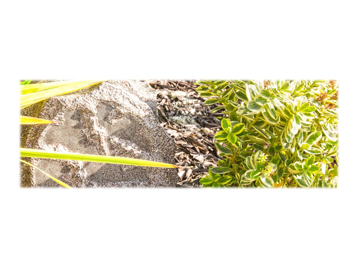 sonance rock speakers