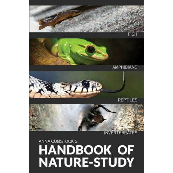 The Handbook Of Nature Study in Color - Fish, Reptiles, Amphibians, Invertebrates, (Paperback)