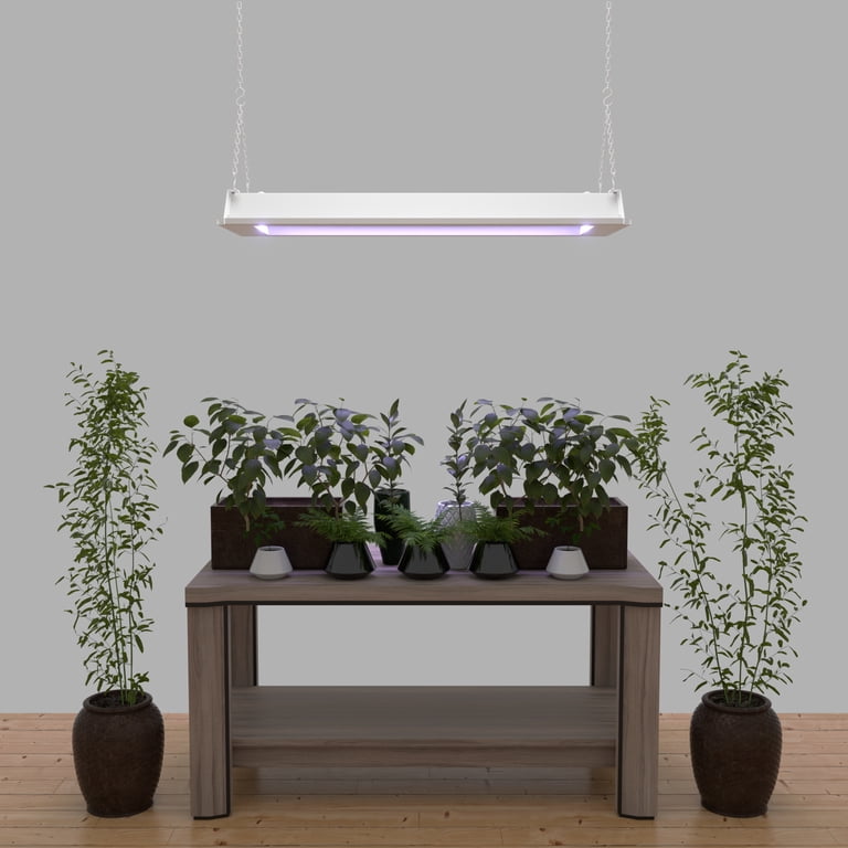 LED Grow Lights SEAMETAL - 300W Full Spectrum Indoor Plant Growing ...