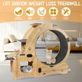 thumbnail image 2 of Pawspint 6-in-1 Cat Exercise Wheel, Upgraded Indoor Cat Running Wheel with Silent Track, Large Cat Treadmill for Exercise & Play, Cat Walking Wheel, Cat Furniture & Cat Toy, 2 of 8