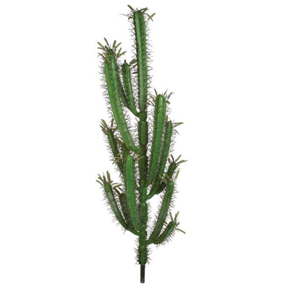 Cactus à Doigts de 46 Po&44; Vert
