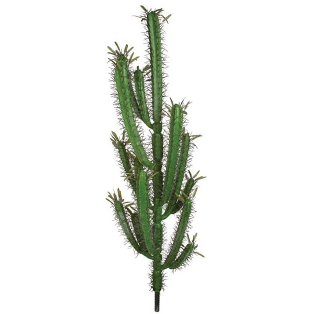Cactus à Doigts de 46 Po&44; Vert
