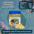 thumbnail image 5 of Mysis Shrimp, Freeze Dried Mysis Shrimp for Marine Fish, Corals, Anemones, Cichlids, Discus, Goldfish, Bettas, All Tropical Fish 1oz Canister, 5 of 5