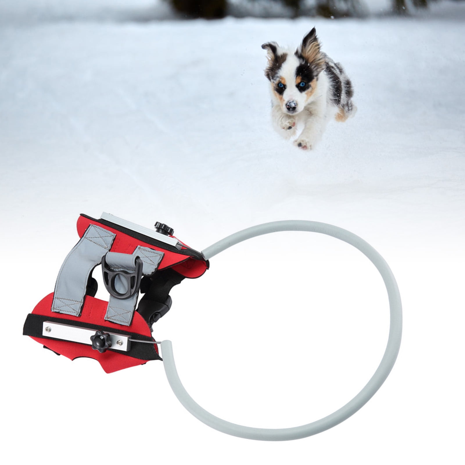 Blind Dog Harness Halo Blind Pet Halo Reflective Blind Dog Bumper Collar Harness Blind Pet Dog Halo Effortless Installation Walmart