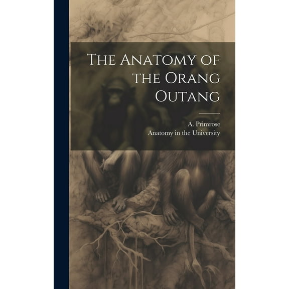The Anatomy of the Orang Outang (Hardcover)