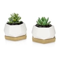 thumbnail image 2 of Essentra Home Succulent Pot Set of 2 | White Hexagonal Succulent Pots with Gold Saucer | 3 Inch Pots for Plants | Small Planters for Succulents, Cactus, 2 of 4