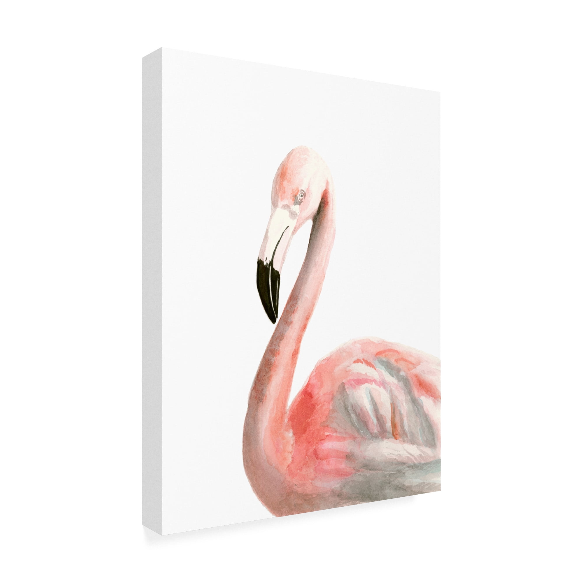 Trademark Fine Art 'Watercolor Flamingo' Canvas Art by Naomi McCavitt