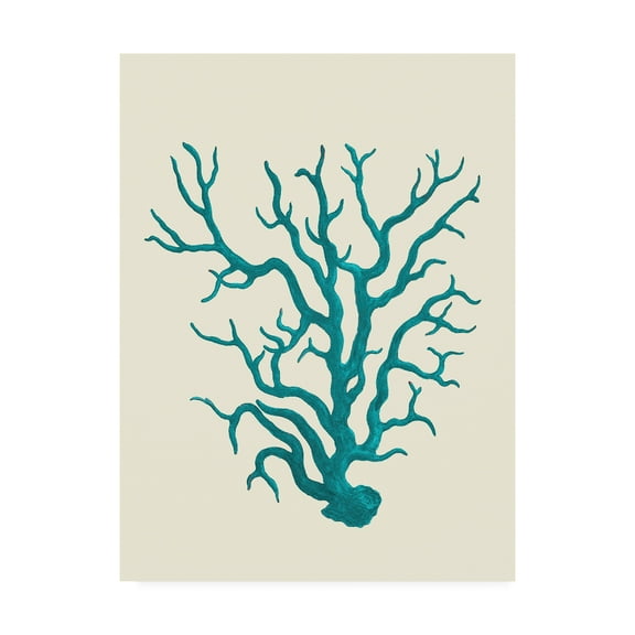Trademark Fine Art 'Corals Turquoise On Cream a' Canvas Art by Fab Funky