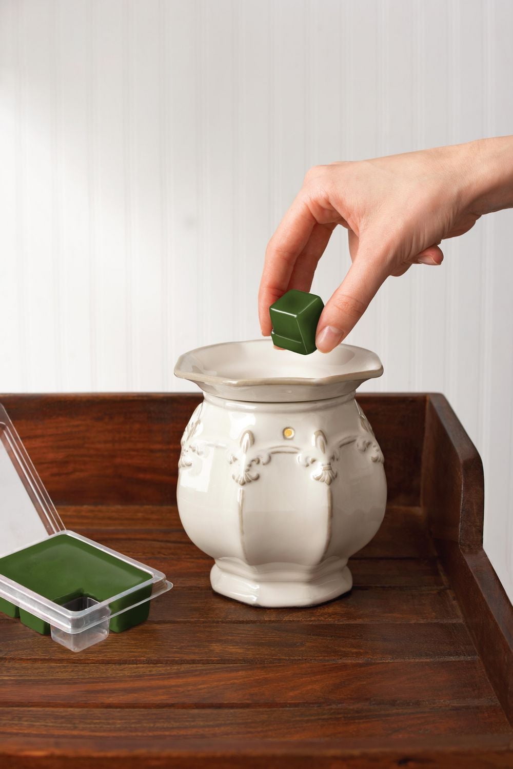 ScentSationals Scented Wax Cubes - Fresh Succulent