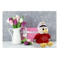 thumbnail image 5 of DolliBu I LOVE YOU Seagull Sailor Plush - Cute Stuffed Animal with Red Shirt for Valentine, Anniversary, Romantic Date, Boyfriend, or Girlfriend Gift – 7.5 Inches, 5 of 6