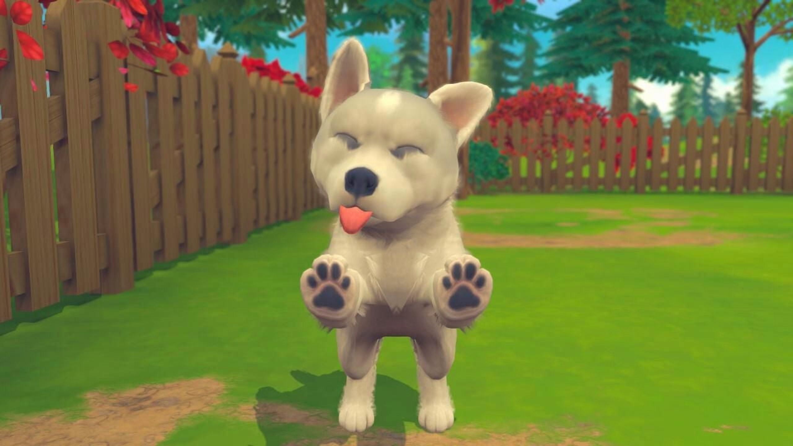 Jeu vidéo My Universe: Puppies and Kittens pour (PS4)