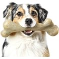 thumbnail image 4 of FFIY Jouet à Mâcher pour Chien Dinosaure Extrême, Saveur Bacon, Très Grand, 4 of 9