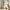Brown Beige, variant on Mike Cow Print 30%-50% Blackout Curtains 30-50% for Bedroom,Farmhouse Cowhide Curtains 38"Wx45"L for Living Room,Western Animal Curtains Drapes,Cattle Print Window Curtains 2 Panels