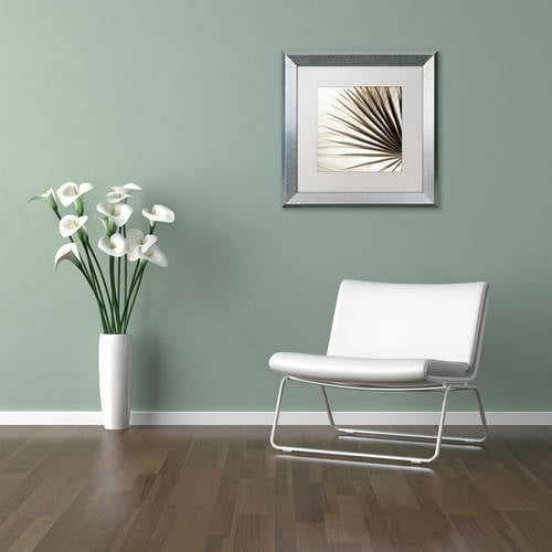 Trademark Fine Art "Florison 66" Canvas Art by Alan Blaustein, White Matte, Silver Frame