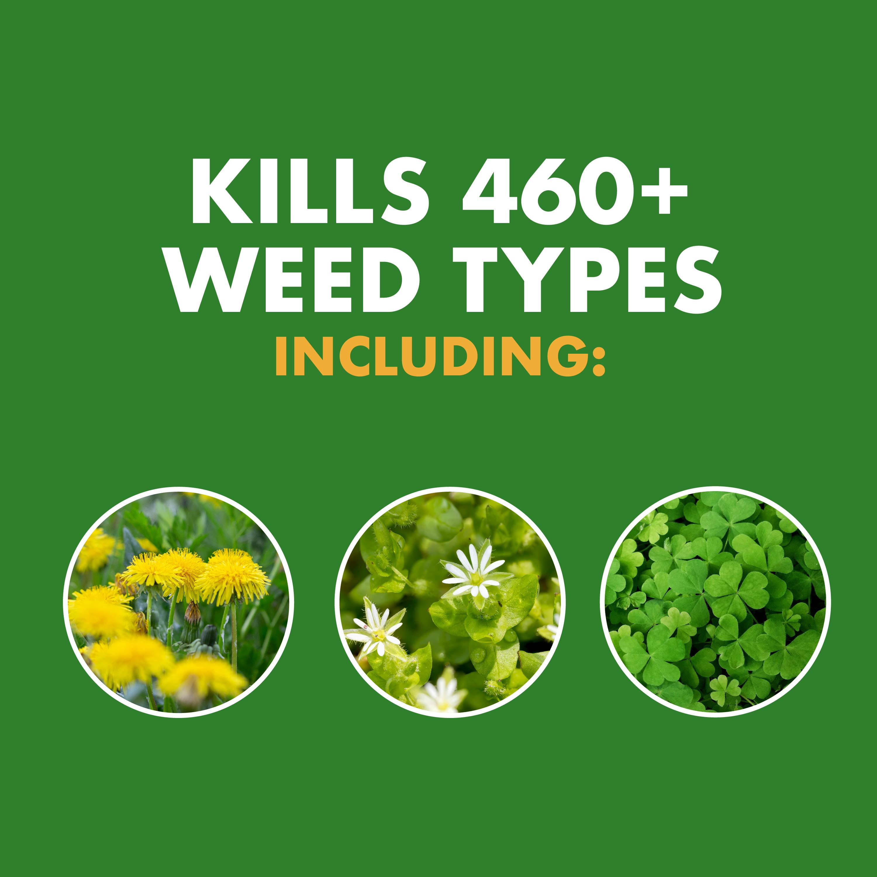 (2 pack) Spectracide Weed Stop for Lawns, Ready-to-Use Formula, 1 Gallon