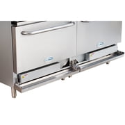 60 In. Commercial Electric Range with 10 Burners and 2 Standard Electric Ovens in Stainless Steel - 208V 3 Phase