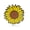 Black, variant on Sunflower Hard Enamel Lapel Pin | Clayton Jewelry Labs