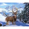 thumbnail image 1 of Pintura de diamante (DE5080) Ciervo 5D DIY Cuadrado Animal de dibujos animados Mosaico Kits de abalorios 50x70cm Hugtrwg Para estrenar, 1 of 1