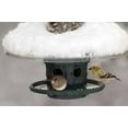 thumbnail image 5 of Brome Protection contre les Intempéries pour Oiseaux, 5 of 5