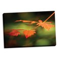 thumbnail image 2 of Gango Home Decor Autumn Fire Leaves I by Vitaly Geyman (Ready to Hang); One 36x24in Hand-Stretched Canvas, 2 of 4