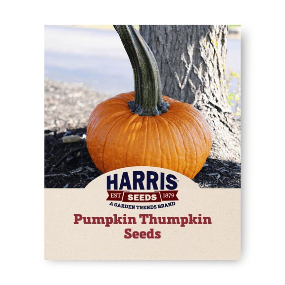 Harris Seeds - Pumpkin Thumpkin Variety FarMore Treated Non-GMO - 250 Seeds