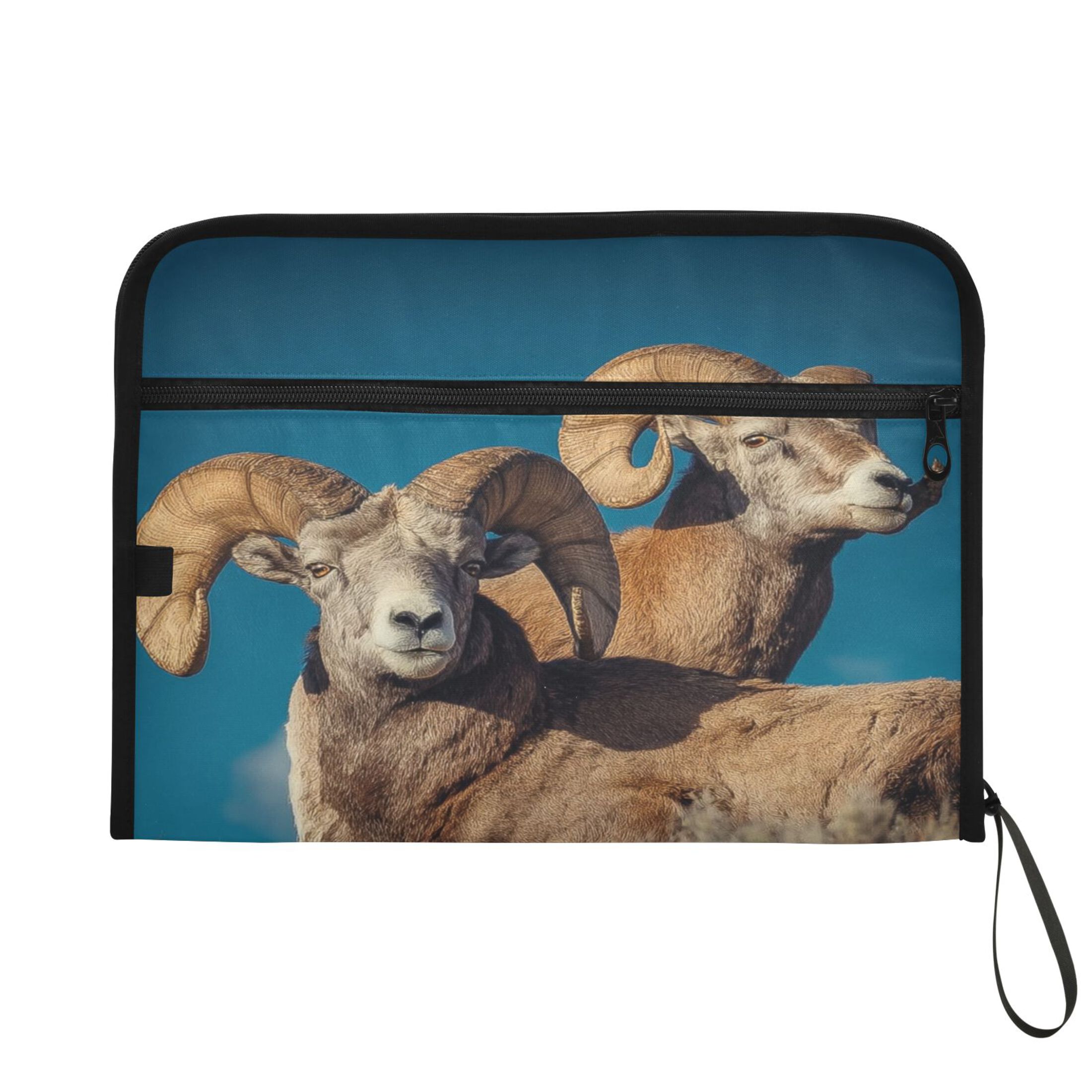 Expandable Folder with Colored Tabs, Desktop Folding Folder for Organizing Files by Category, with 13 Pockets, Suitable for Office Use Bighorn Sheep